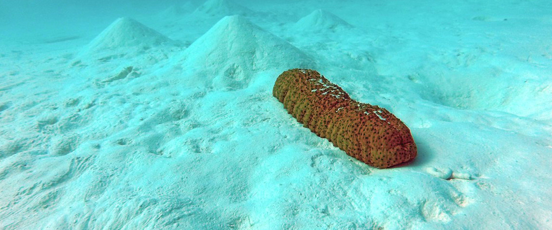 Law Firm Johor Bahru | Company Lawyer Johor Bahru | Litigation Lawyer Johor Bahru