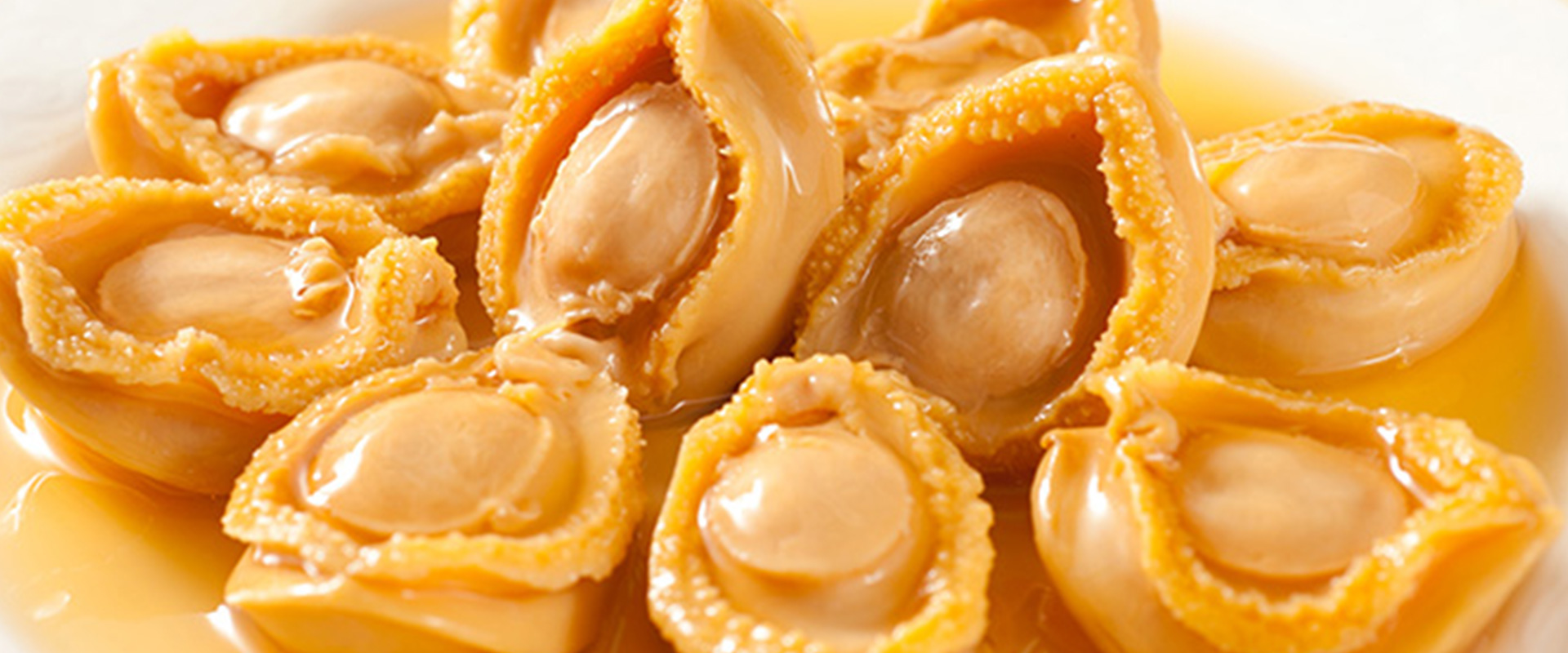 Law Firm Johor Bahru | Company Lawyer Johor Bahru | Litigation Lawyer Johor Bahru